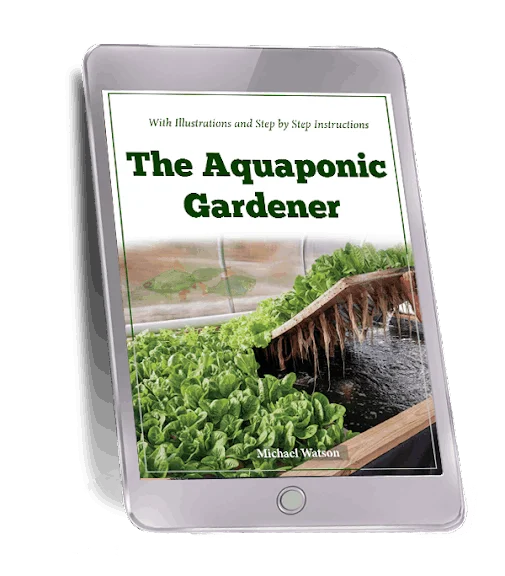 the self-sufficient backyard buy